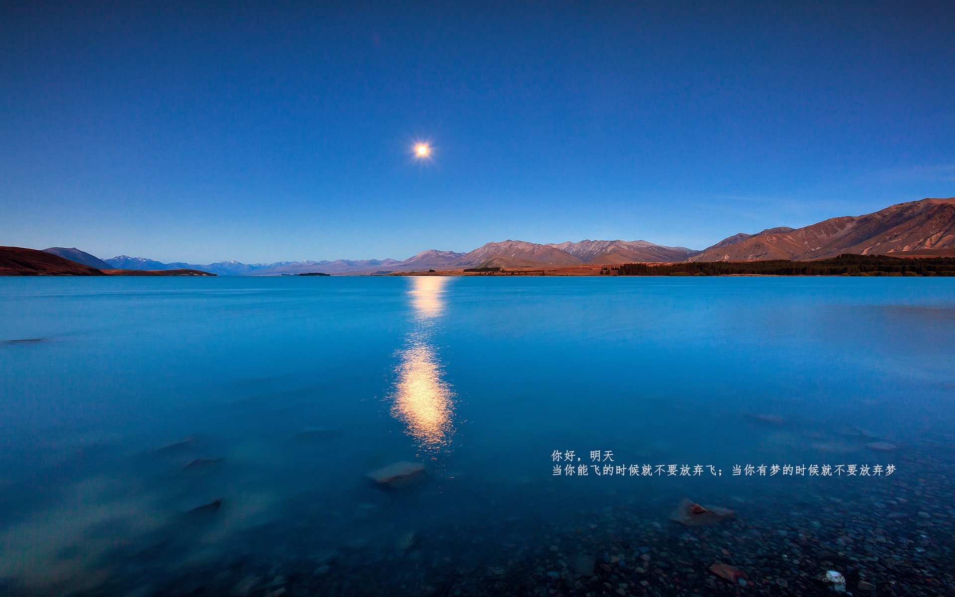 CS2 战队战术研究成果显著,csgog2战队队员